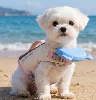 flotador para perro